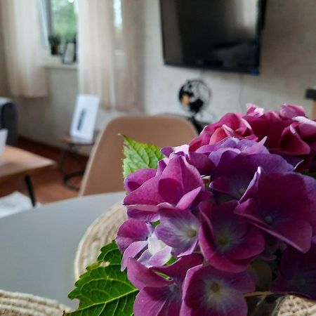 Meerhuuske Kaethe Sudbrookmerland Bagian luar foto