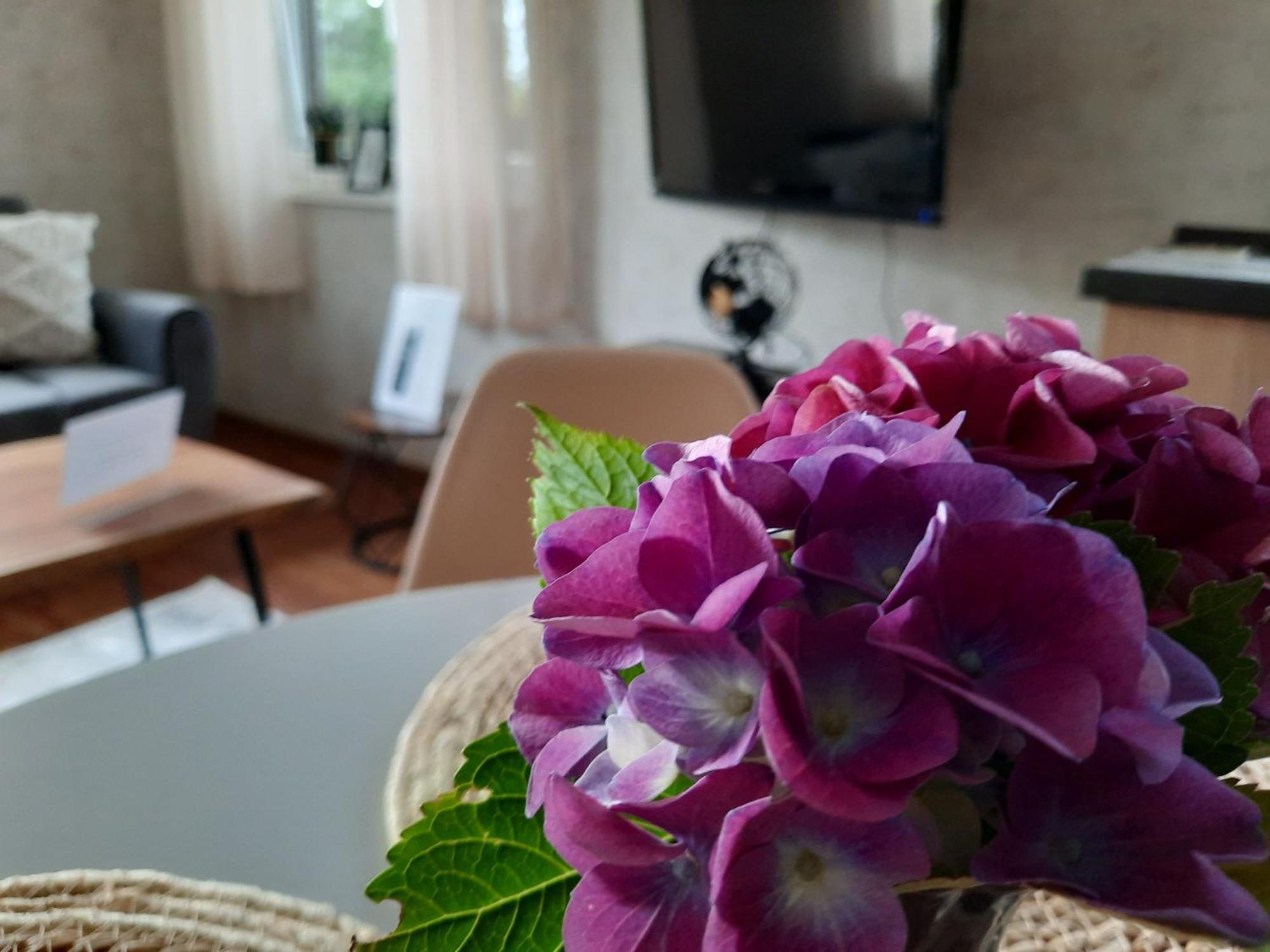 Meerhuuske Kaethe Sudbrookmerland Bagian luar foto
